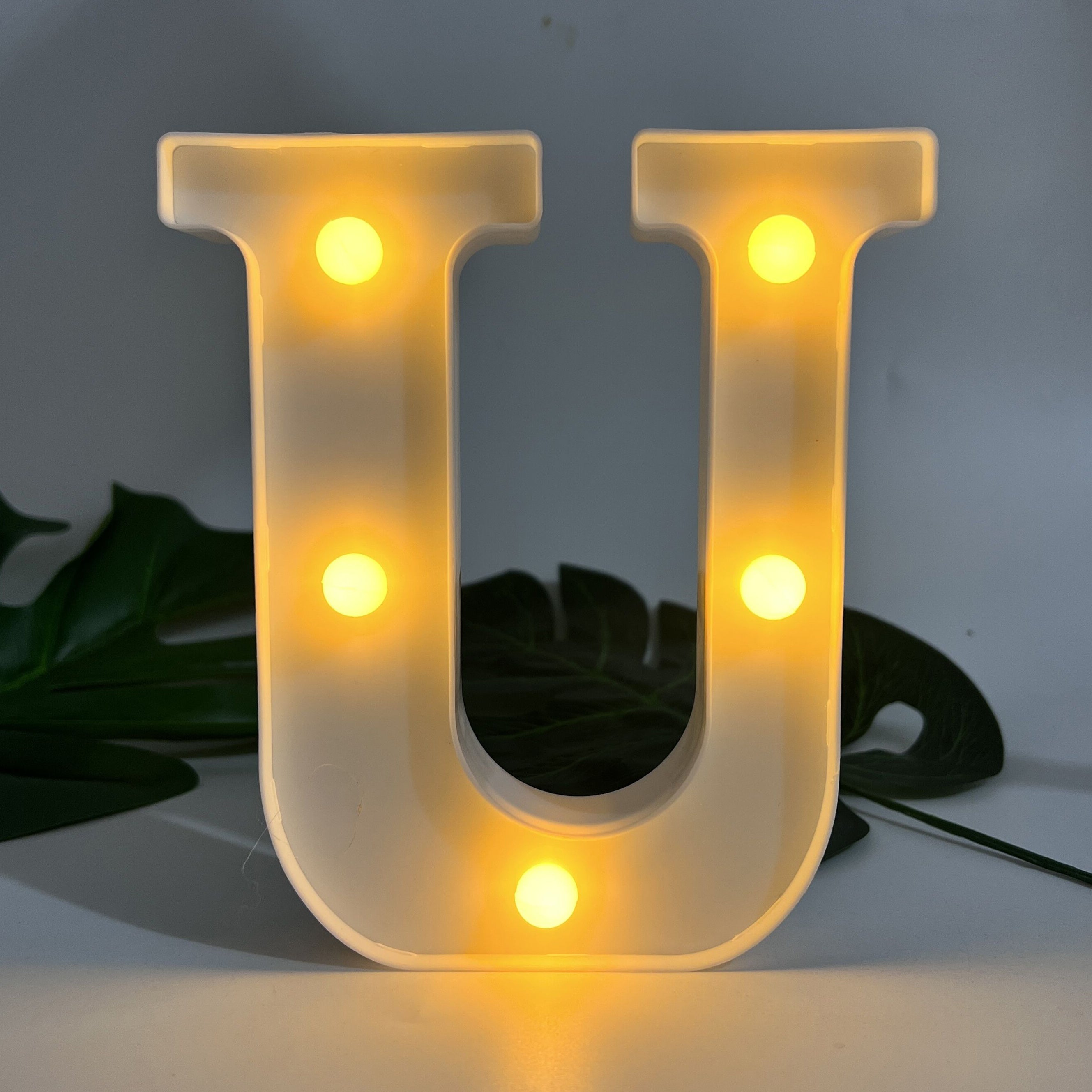 Alphabet Letter LED Lights
