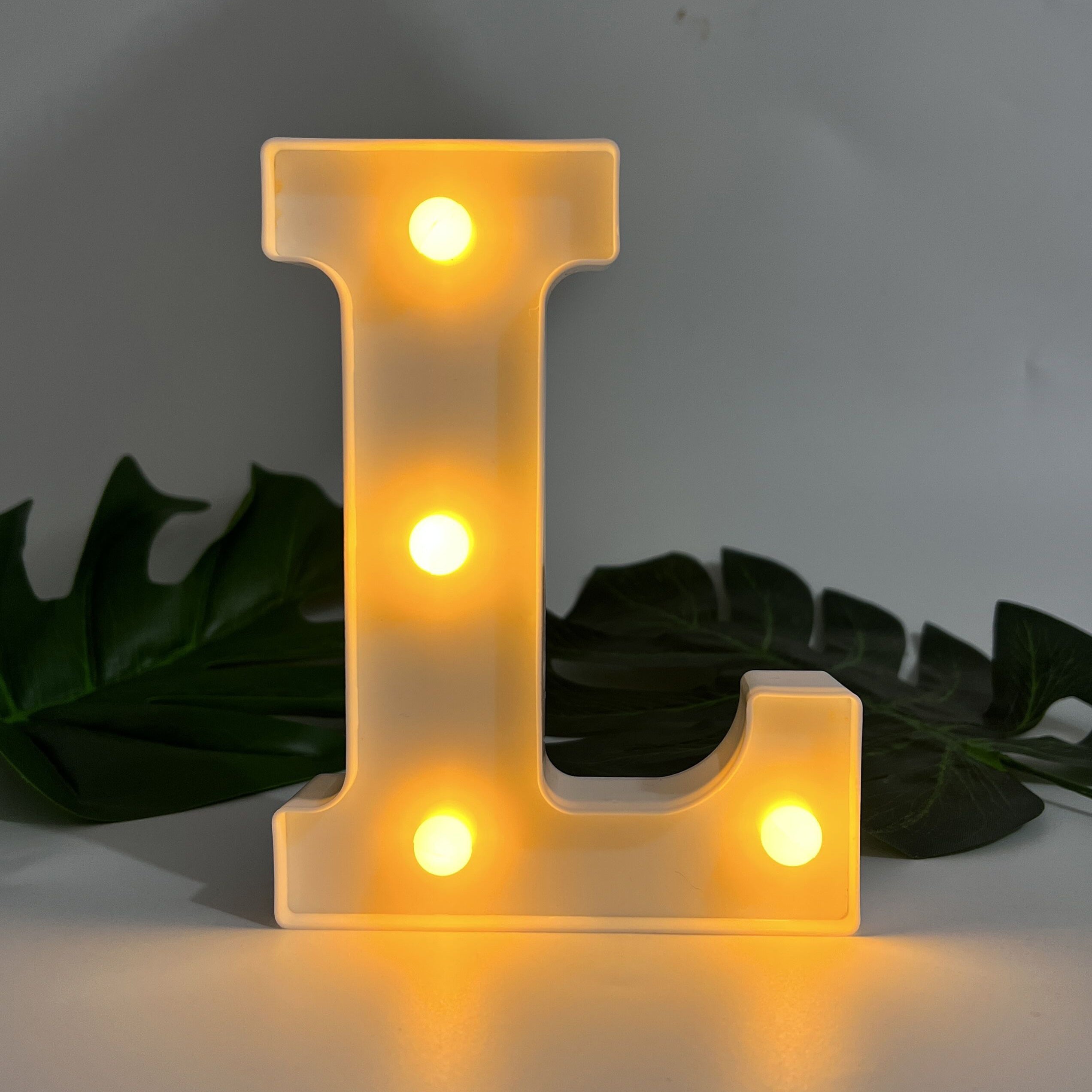 Alphabet Letter LED Lights