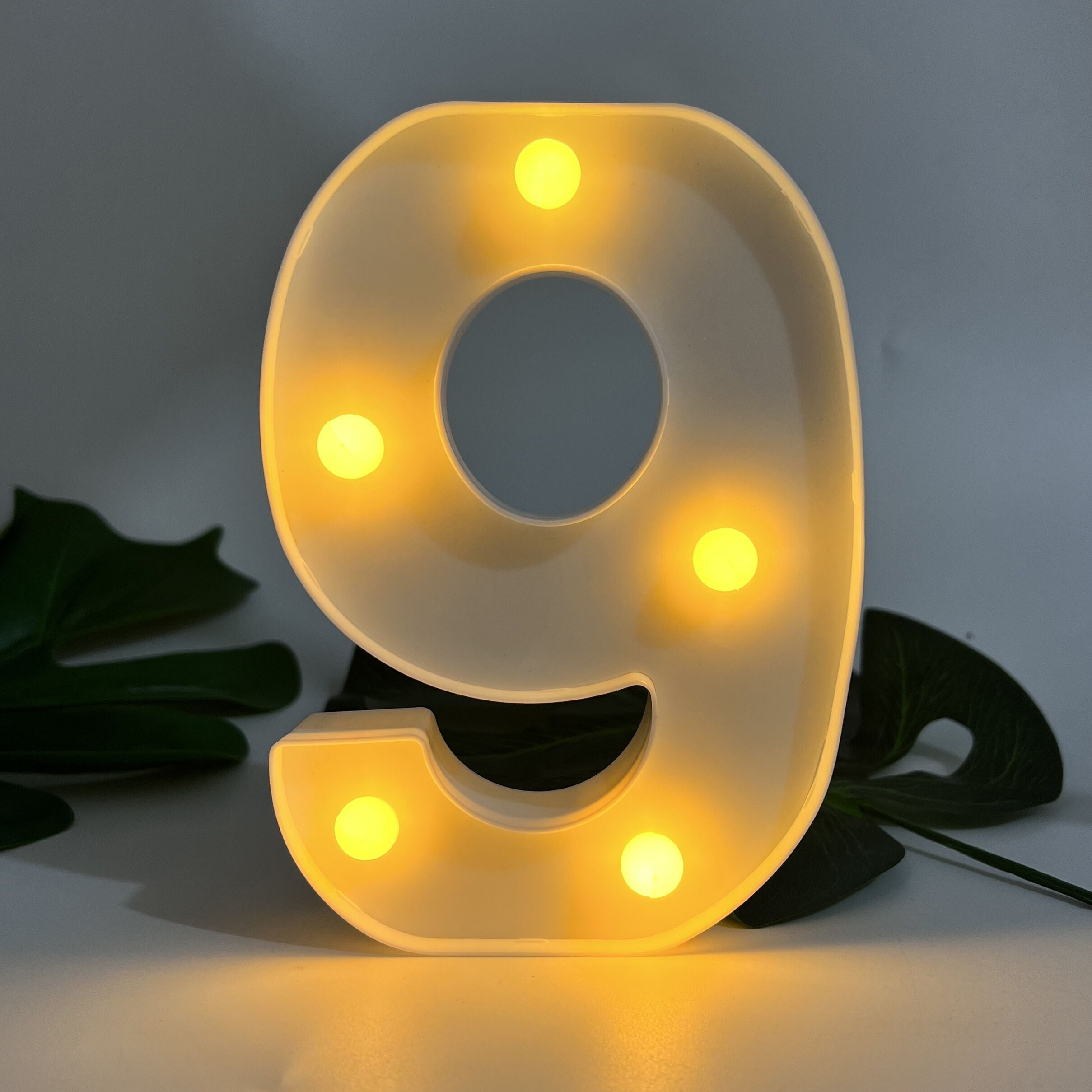 Alphabet Letter LED Lights