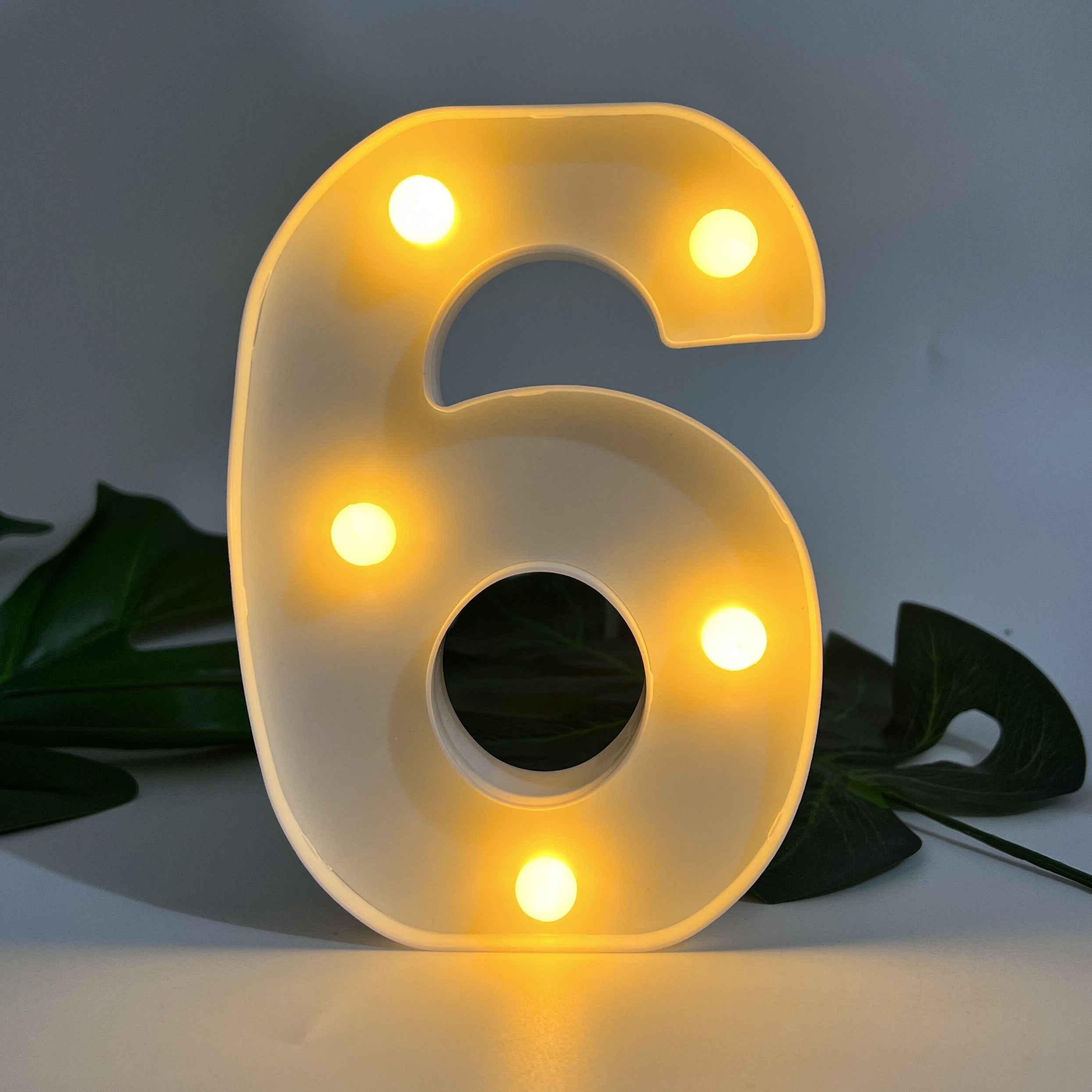 Alphabet Letter LED Lights