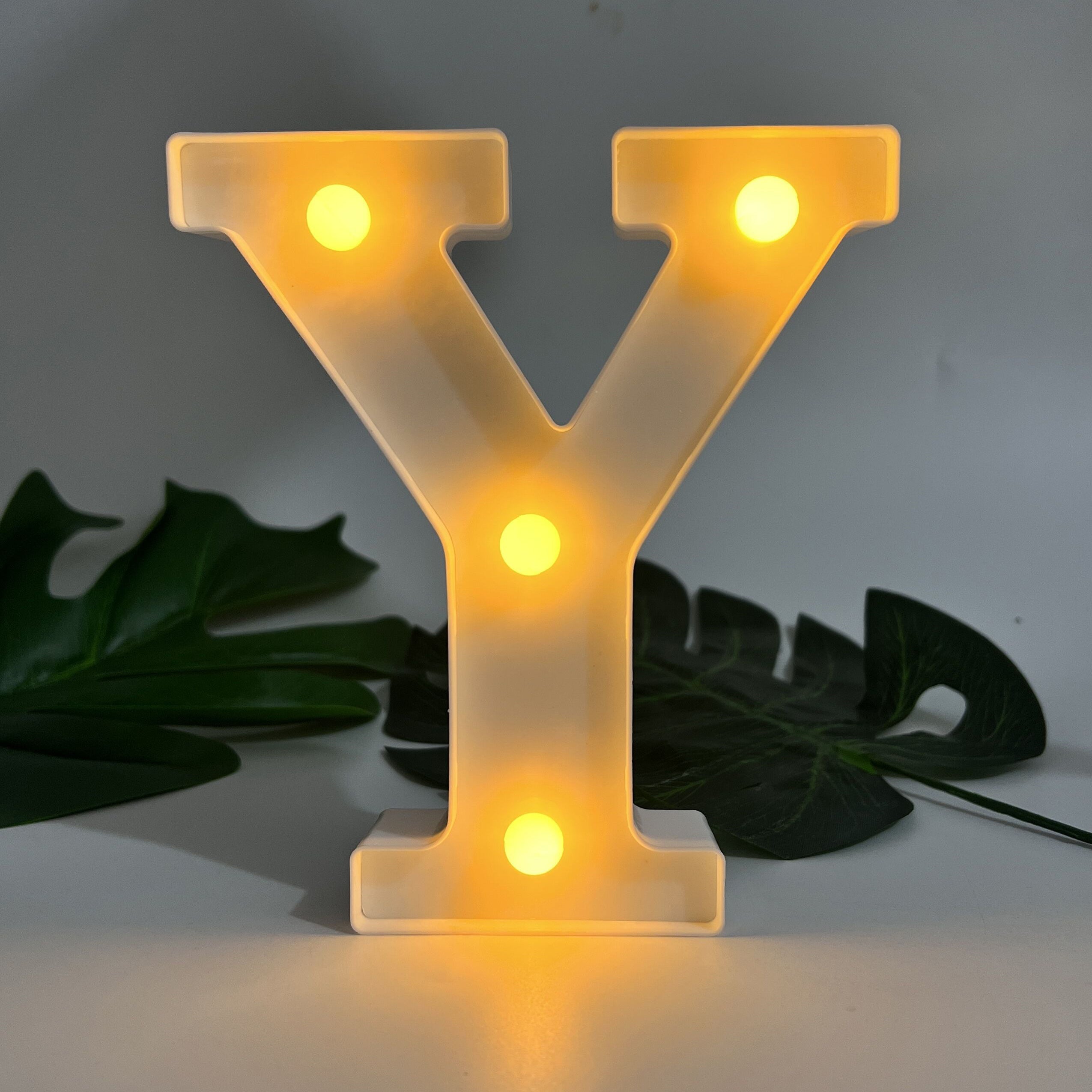 Alphabet Letter LED Lights