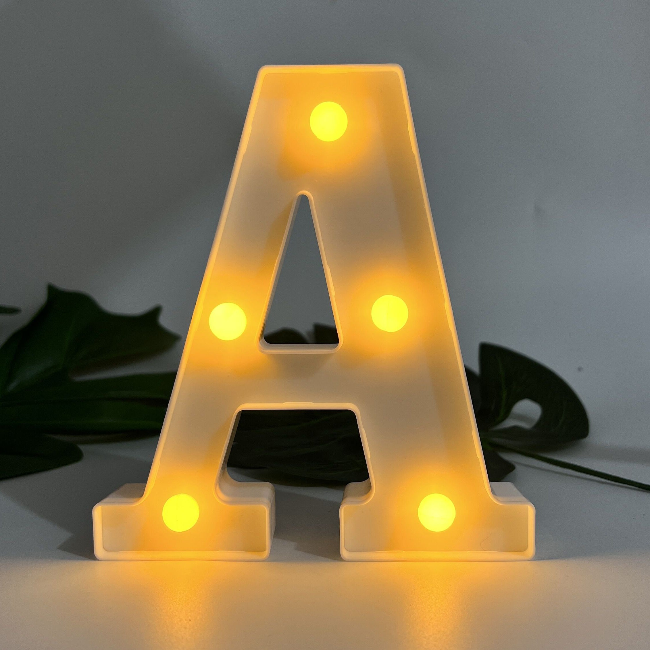 Alphabet Letter LED Lights