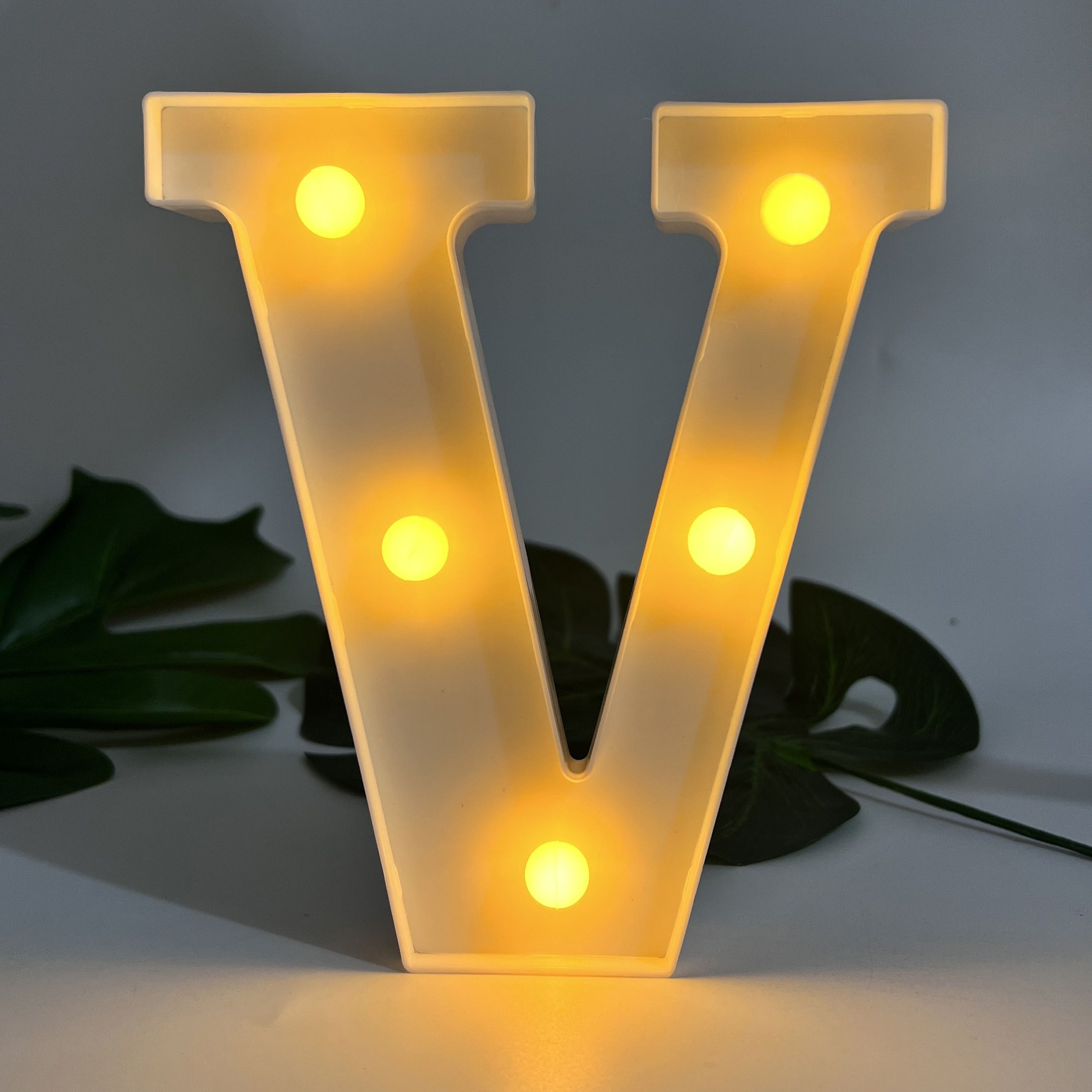 Alphabet Letter LED Lights