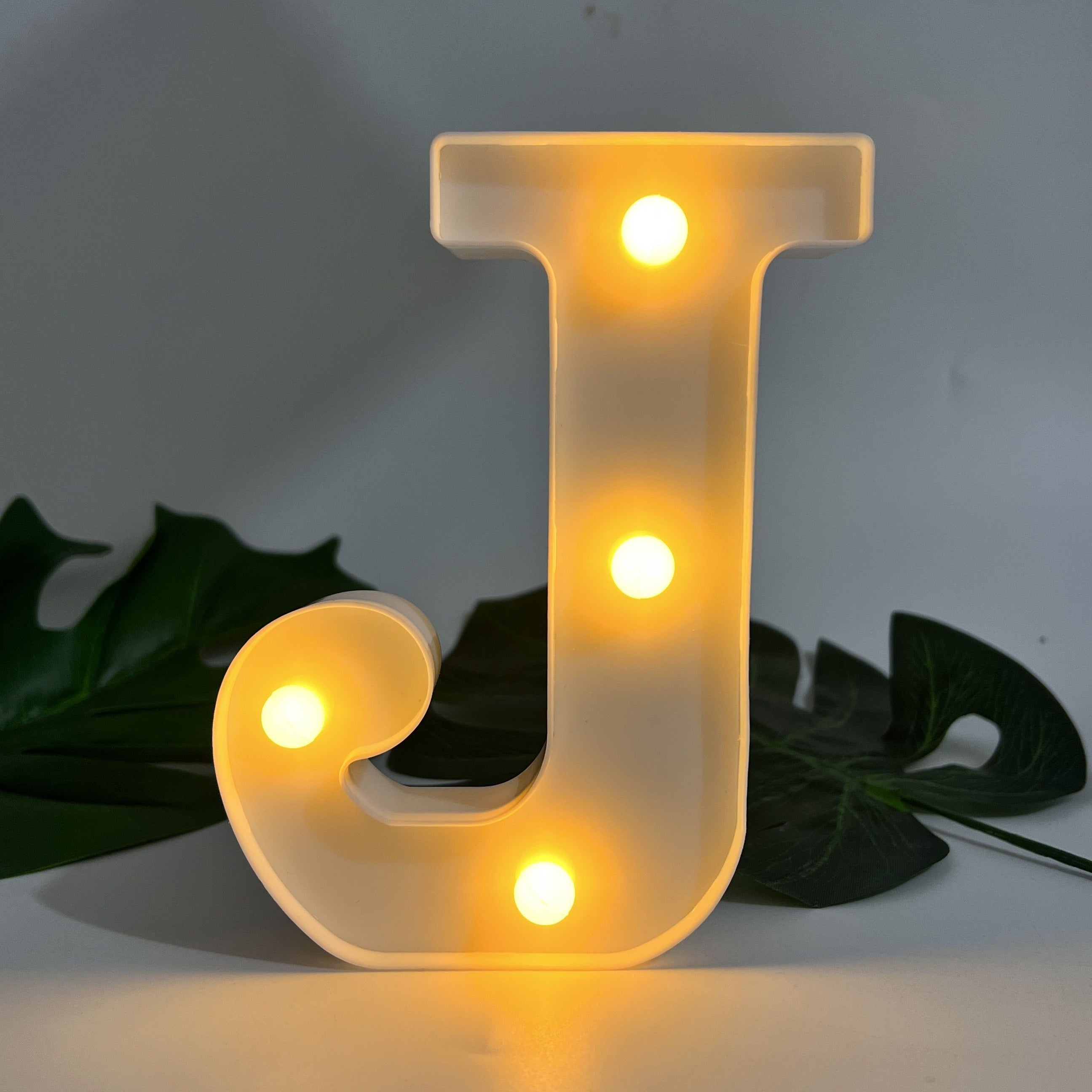 Alphabet Letter LED Lights