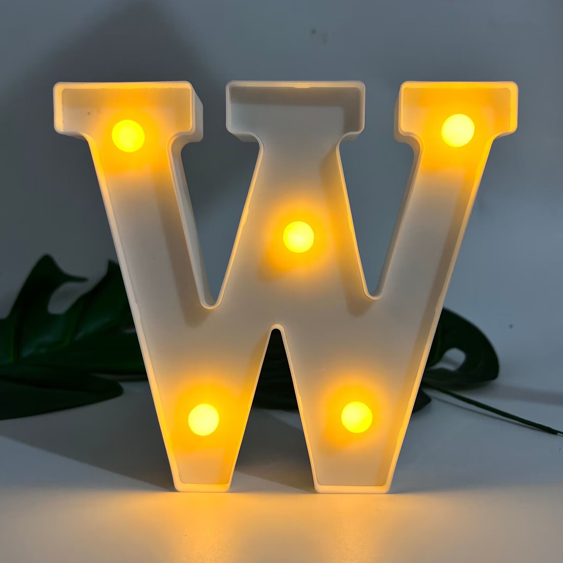 Alphabet Letter LED Lights