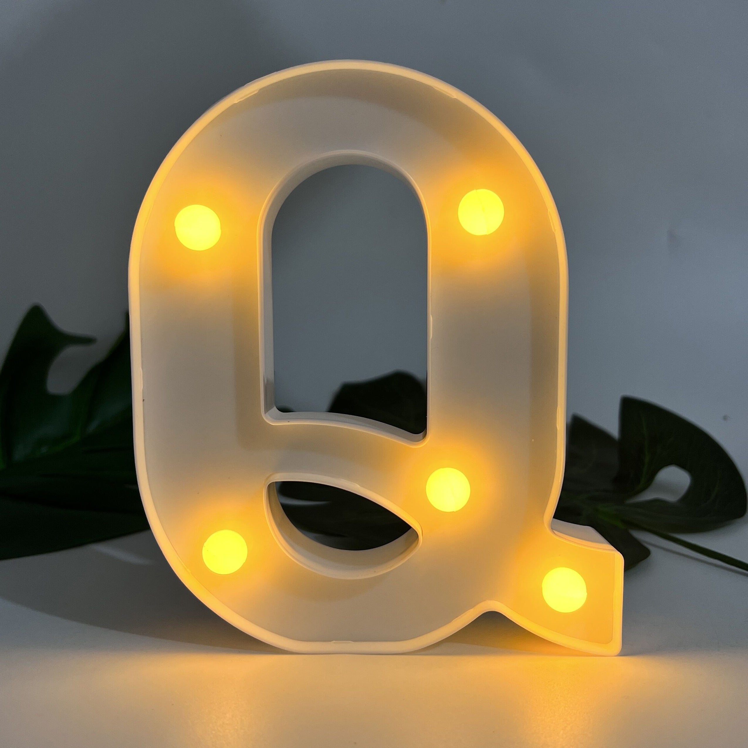 Alphabet Letter LED Lights