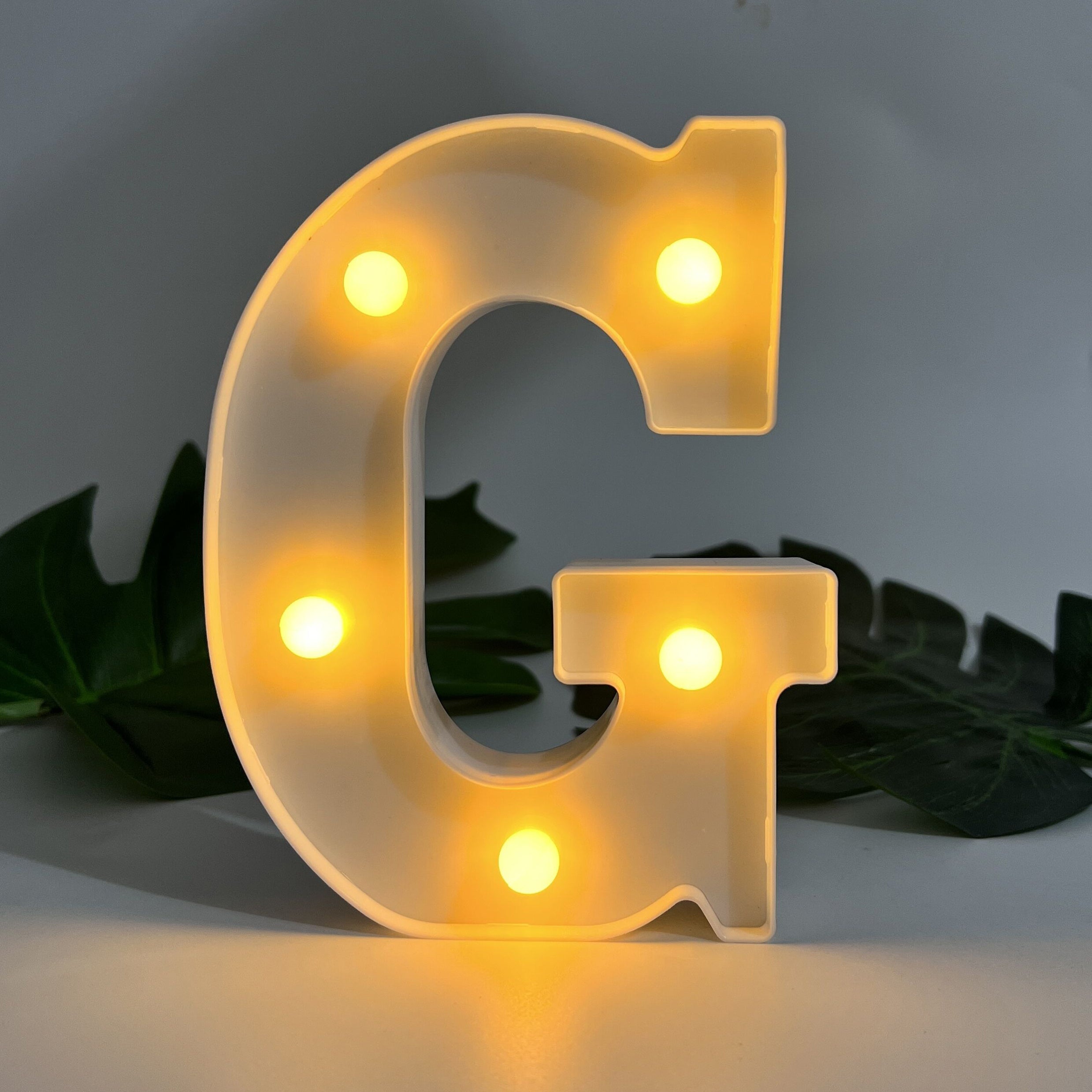 Alphabet Letter LED Lights