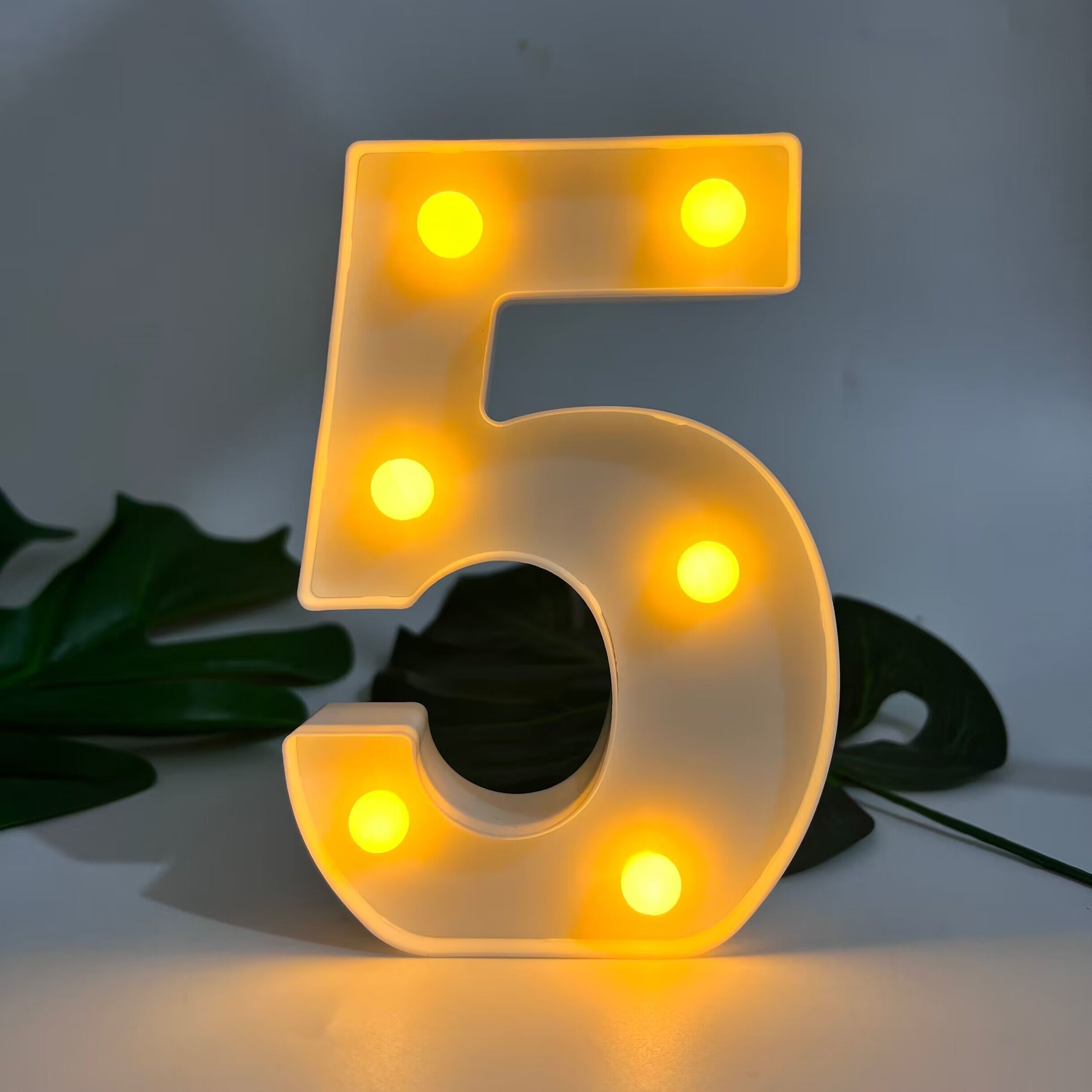 Alphabet Letter LED Lights