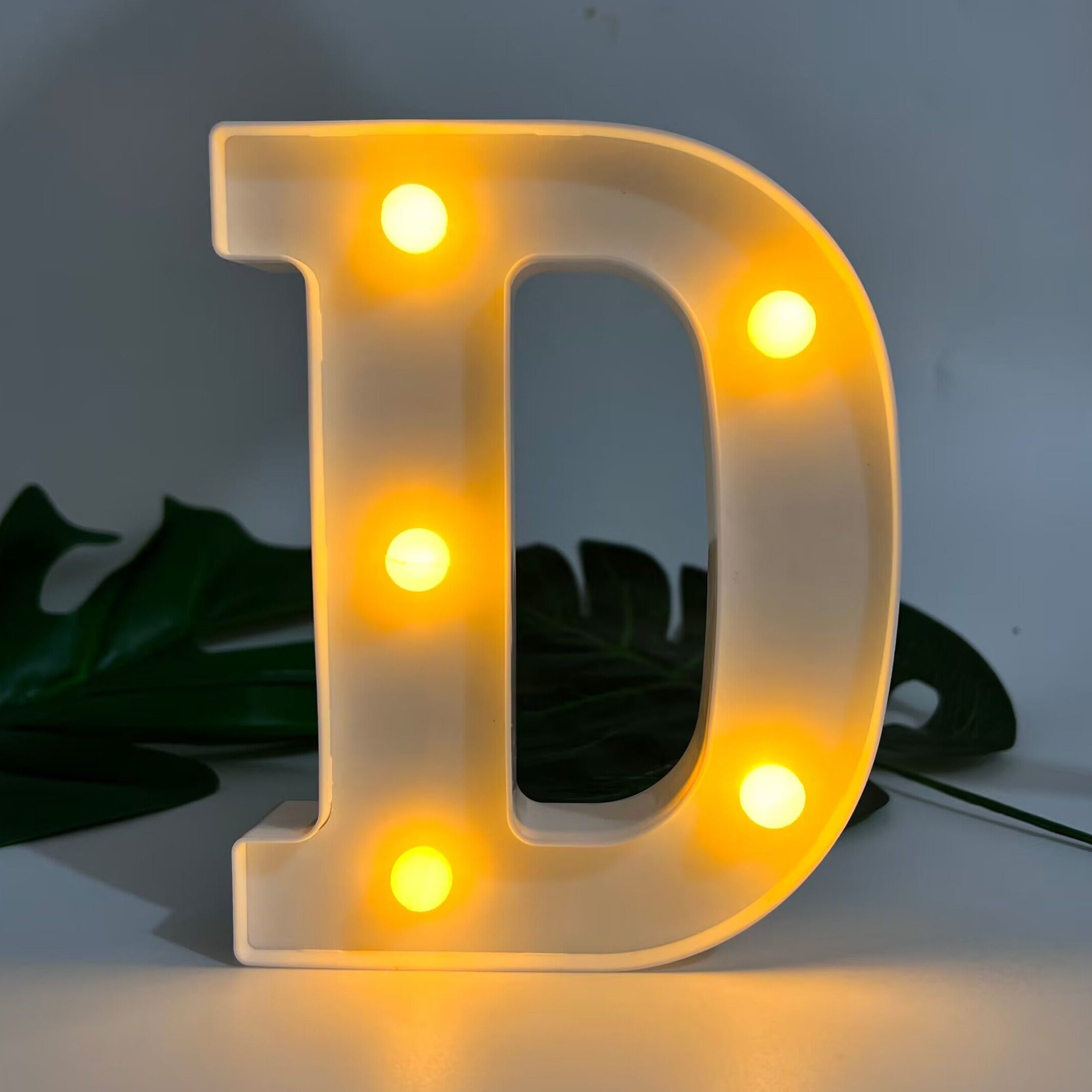 Alphabet Letter LED Lights