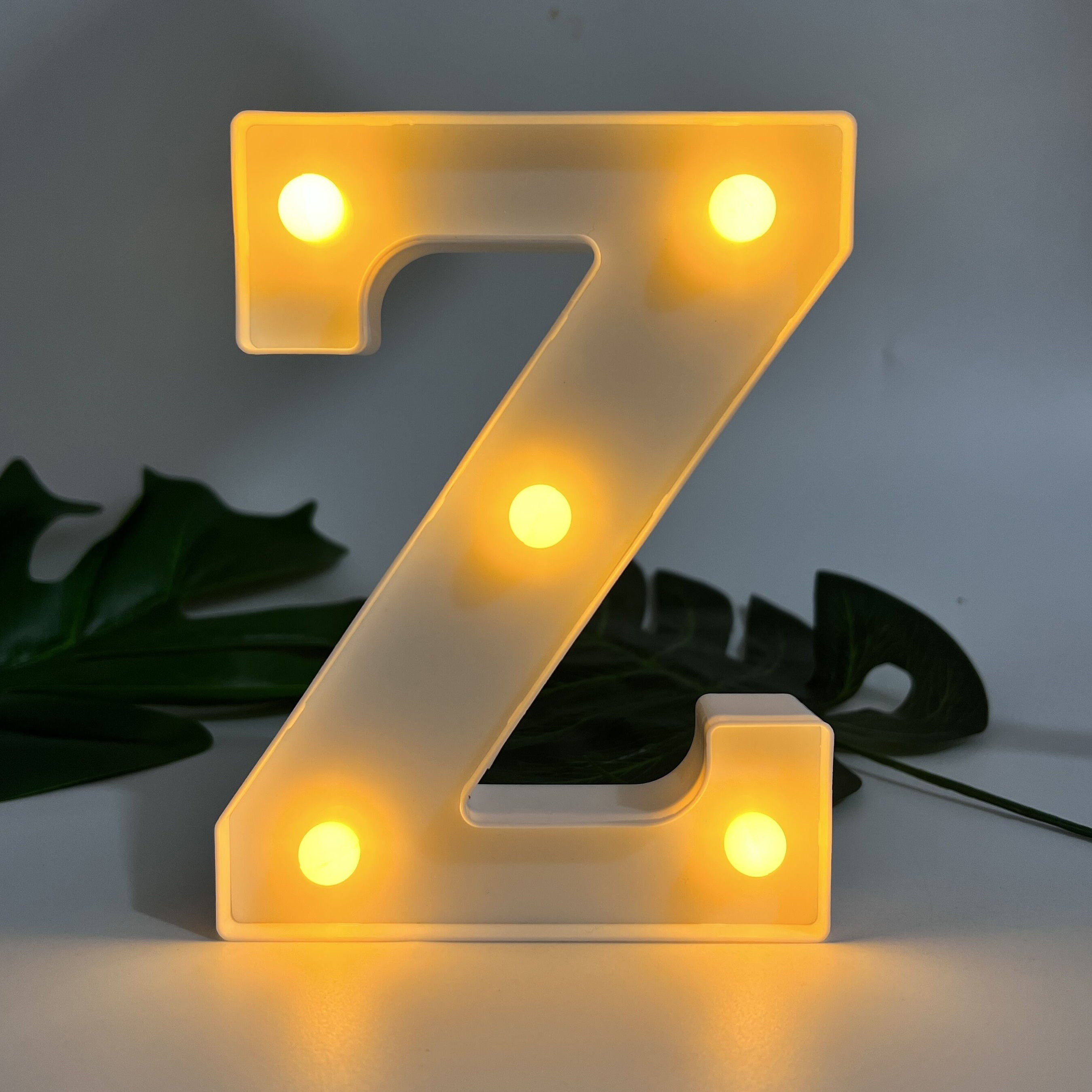 Alphabet Letter LED Lights